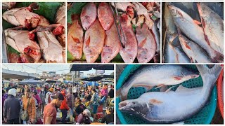 Most Crowded Fish Market  The Biggest Fish Market  Early Morning Lively and Crowded Fish Market [upl. by Ayaj]