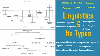 Linguistics and Its types  Micro Linguistics  Macro Linguistics  Language amp Linguistics [upl. by Owades828]