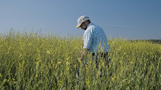 HOW we grow bioenergy feedstock matters USA amp Canada [upl. by Hidie956]