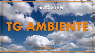 Tg Ambiente  2522024 [upl. by Eornom597]