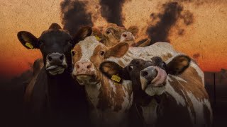 LIBERTAÇÃO ANIMAL VEGANISMO POPULAR E ECOSSOCIALISMO [upl. by Vaientina]