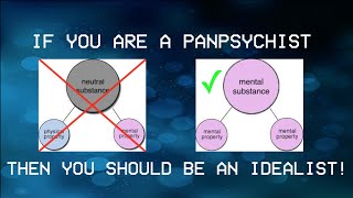 Why Panpsychists Should Also be Idealists [upl. by Lesab]