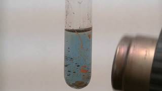 Mercury Chemistry HgCN2 using Prussian Blue [upl. by Thordis]