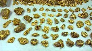 Alaska Gold Nugget Collection [upl. by Anierdna557]