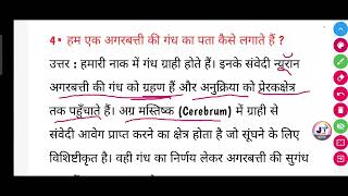 हम एक अगरबत्ती की गंध का पता कैसे लगाते हैं  Ham ek agarbatti ki gandh ka pata kaise lagate Hain [upl. by Huxham]