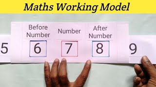 Maths Working Model on Before amp After Numbers  Maths Working Project  Maths Working Activity [upl. by Drabeck]