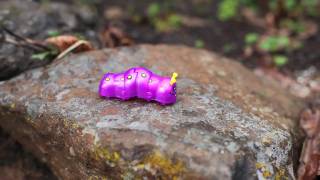 windup toy caterpillar chase [upl. by Joly808]