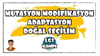 Mutasyon Modifikasyon Adaptasyon  LGS Kampı [upl. by Oyek]