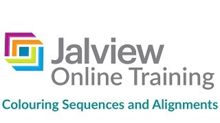 Colouring protein residues in an alignment using Jalview [upl. by Yenterb]