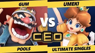 CEO 2019 SSBU  Gum Wario Vs Umeki Daisy Smash Ultimate Tournament Pools [upl. by Ermanno]