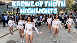 ALL BANDS  KREWE OF THOTH FULL HIGHLIGHTS 2024 [upl. by Ranilopa446]