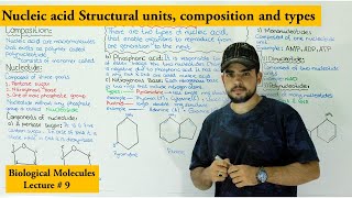 Introduction to nucleic acid and nucleotide  types of nucleotides [upl. by Alon]