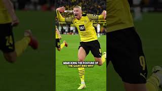 Why Erling Haaland Runs Like An Ostrich  haaland football shorts [upl. by Nelhsa]