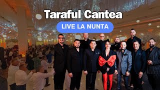 Taraful Cantea Live la nunta in Palatul Mirilor Tecuci hora cu sute de persoane [upl. by Llatsyrc956]