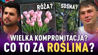 Co to ZA ROŚLINA PRZYKŁADY z PODSTAWÓWKI 5 PKT to MINIMUM [upl. by Eesyak]