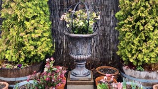 Rain Walk with Hellebores Daffodils and Hyacinths [upl. by Sanburn]