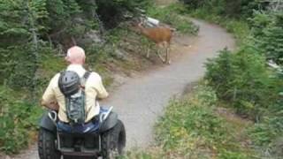 Segway® Wheelchair Kit on Forest Trails [upl. by Ennyrb]