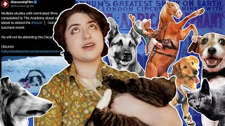 The Bizarre History of Hollywoods Animal Stars [upl. by Orlina]