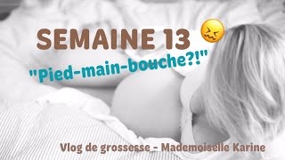 047 VLOG de grossesse semaine 13 quotpiedmainbouchequot Mademoiselle Karine [upl. by Nealson]