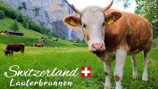 LAUTERBRUNNEN Village and Valley  Paradisiacal Switzerland  4K UHD 60fps Video [upl. by Irek386]