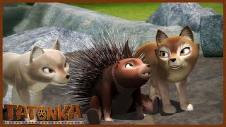 Bravery Challenge Pahin vs the Geysers 🌋🦔  Tatonka  Dibujos Animados para Niños [upl. by Ardin]