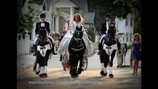 Mackinac Islands Festival Of the Horse [upl. by Twedy]