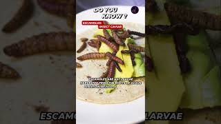 Escamoles Insect Caviar FoodDare [upl. by Zebapda]