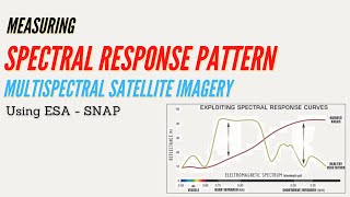 Measuring Spectral Response Pattern of Multispectral Satellite Imagery in ESA SNAP [upl. by Bevon]