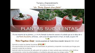 ¡Taller de jardinería Aprende a cuidar tus plantas SUCULENTAS 👩‍🌾🏡👨‍🌾🌺🌿 [upl. by Jahdai]