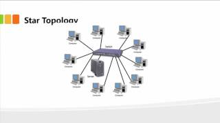 Understanding Network Topologies [upl. by Rfinnej320]