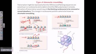 Types of chromatin remodeling [upl. by Eneg]