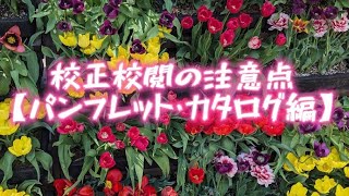 校正校閲の注意点【パンフレット・カタログ編】 校正 校閲 資格取得 フリーランス [upl. by Barnet]