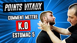 Comment faire un KO avec le POINT DE PRESSION quotEstomac 5quot Kyusho Jitsu [upl. by Uhn405]