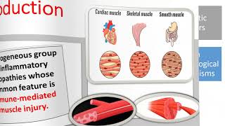 Idiopathic inflammatory myopathies  part 1 [upl. by Ytsirc653]