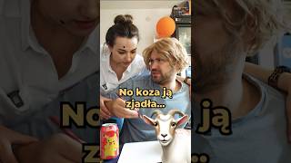 Gdzie się podziała koza 🐐 😂 Zobacz co narysował Maciuś śmieszne rodzinka suchary [upl. by Einotna]