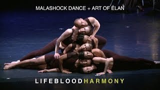 Malashock  Art of Élan Lifeblood Harmony [upl. by Eenal]