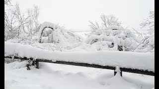 Van herfst naar winter in 5 minuten Ardennen januari 2022 [upl. by Ellecrad]