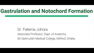 Gastrulation amp Notochord Formation Explained with attractive images by Dr Fatema Johora [upl. by Serilda]