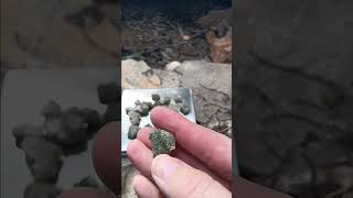 Radioactive Trinitite Trinity Site White Sands NM quotGreen Glassquot [upl. by Mya]