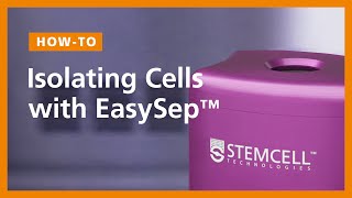 How to Isolate Cells with EasySep™ ColumnFree Cell Separation Technology [upl. by Ahsimal331]