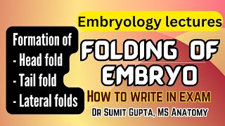 Folding of embryo  General embryology [upl. by Wilek]