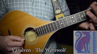 Varulven  Garmarna cover on Irish Bouzouki [upl. by Kizzie]