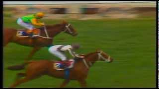 1986 Cox Plate Bonecrusher vs Our Waverley Star [upl. by Bathesda907]