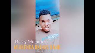 RICKY MELODIES  NIBAKI SINGLE  OFFICIAL AUDIO [upl. by Nawat]