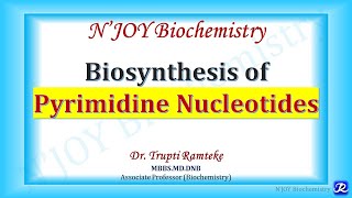 Pyrimidine Biosynthesis  Nucleotide Metabolism  Biochemistry  NJOY Biochemistry [upl. by Vic]