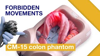 How to Avoid Common Mistakes During Insertion in Colonoscopy Using the Olympus CM15 Colon Phantom [upl. by Esinrahc]