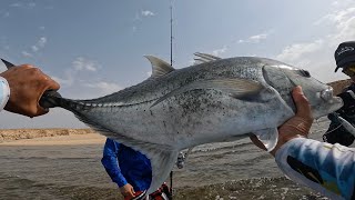 أجمددد يوم صيد من الكسارة، ضربنا ٥ جروم و دوجي🤯Best fishing day of my life from shore GTs and a dog [upl. by Raff700]