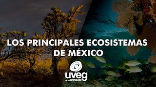 Los principales ecosistemas de México [upl. by Latyrc]