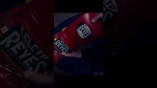 Unboxing Cleto Reyes Boxing gloves [upl. by Ludovick837]