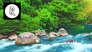 Relaxing Nature Sounds  Water Sound 24 Hours Gentle River amp Stream [upl. by Atikel512]